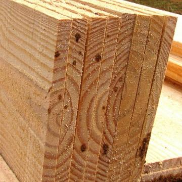 Pinus para construção: por que ele é um material versátil e econômico?